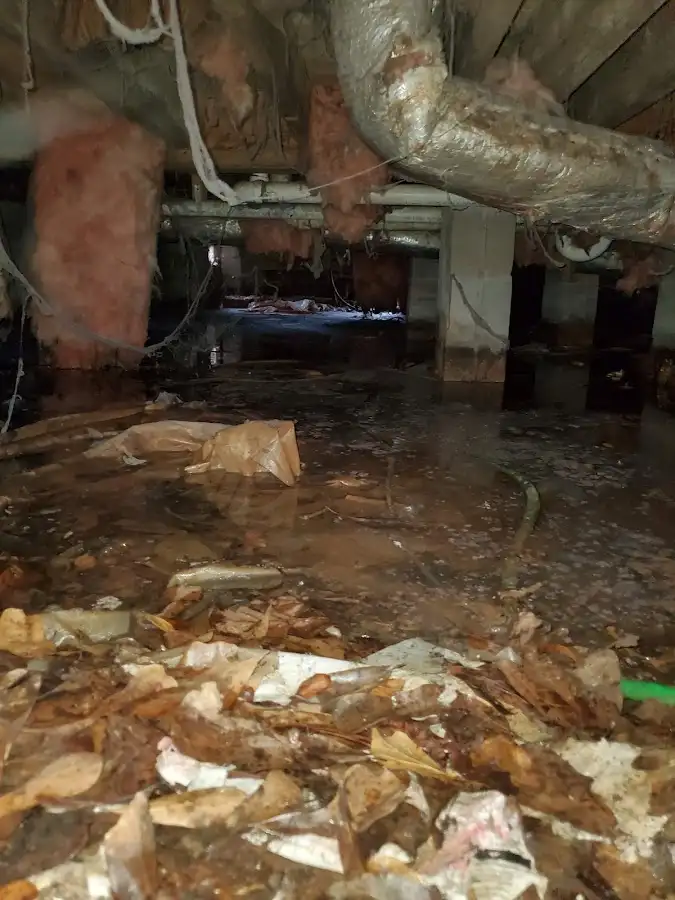 Crawl space flood assessment for Leak Detection & Repair in Big Rapids